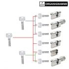 Cylindre de porte ABUS BRAVUS 4000 MX organigramme