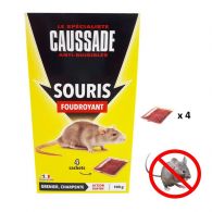 appat souris lieu secs