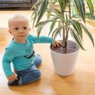 grille de protection pour pot de fleur