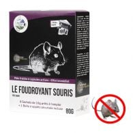 Kit anti souris foudroyant avec boite appat