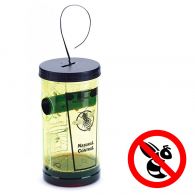 piège à guêpe écologique natural control