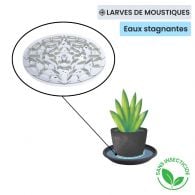 piège à larve de moustique pot de fleur Terra Nostra