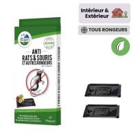 Plaque de glu anti souris et rats 