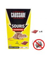 appat souris lieu secs