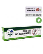 colle anti rat et souris