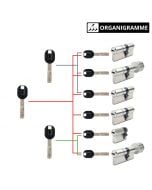 Cylindre abus mx magnet organigramme