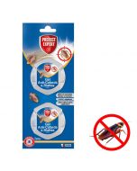 Pièges à cafards et blattes x 2