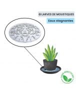 piège à larve de moustique pot de fleur Terra Nostra