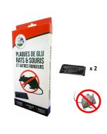 Plaque de glu anti souris et rats 