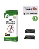 Plaque de glu anti souris et rats 