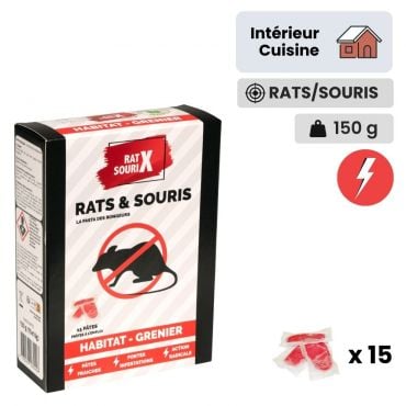 Pack tapette à souris - anti souris efficace - ProtectHome
