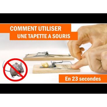 Lot de 10 Pièges à Souris, Souricière, Tapette en Bois réutilisable