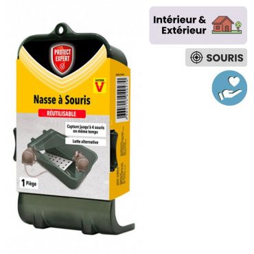 Nasse à souris 1 entrée socle bois avec bloc attractif arôme au choix