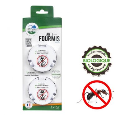 Piege A Fourmis X2 Piege A Fourmis X2