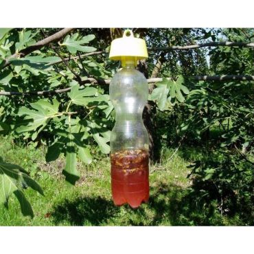 Piège à Frelons Et Guêpes Par Bouteille | Lot De 5, Jaune, Recyclable – Pour Jardin, Verger, étable - 7