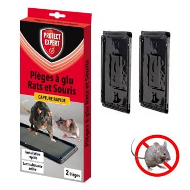 Plaques De Glu Souris & Rats Par 10