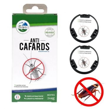 pack cafard, insecticides, pack blatte