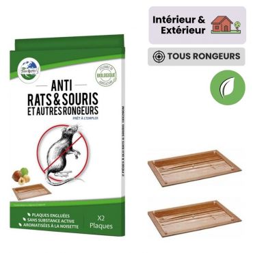 Plaque de glu anti souris et rats