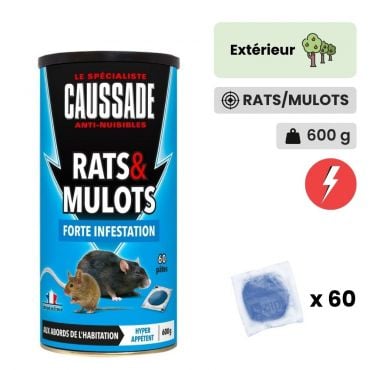 Solution anti rat mulot - ProtectHome