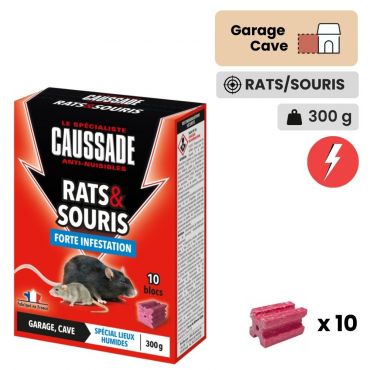 Caussade Forte Infestation Rats et Souris