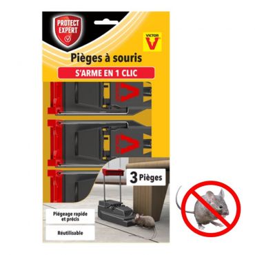 https://www.protecthome.fr/media/catalog/product/cache/a04be000da3e19eb2f12dfce58f43a1f/t/a/tapette-a-souris-plastique.jpg