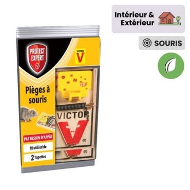 Tapette à souris - pack de 3