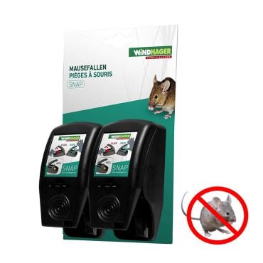 Des tapettes à souris en bois par lot de 5 en promotion