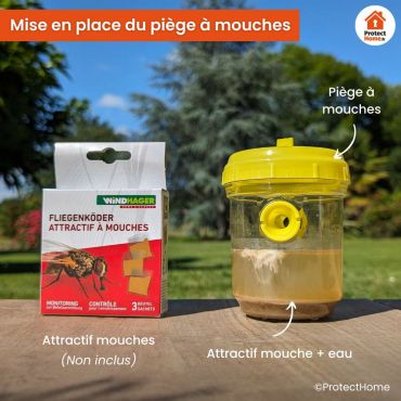 LES Piège à Guêpes,Guêpes Frelon Piège à Mouches des Fruits Forme D