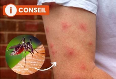 Qu'est-ce qui attire le moustique ?