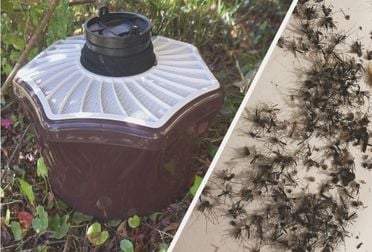 Comparatif : les meilleurs pièges anti moustique