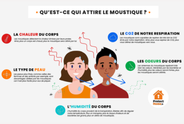 Qu'est-ce qui attire le moustique ?