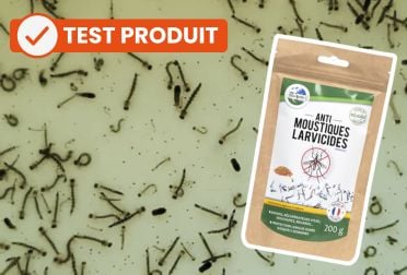 Test du larvicide moustique Terra Nostra