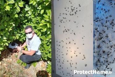 Test piège à moustique Biogents Mosquitaire et BG GAT