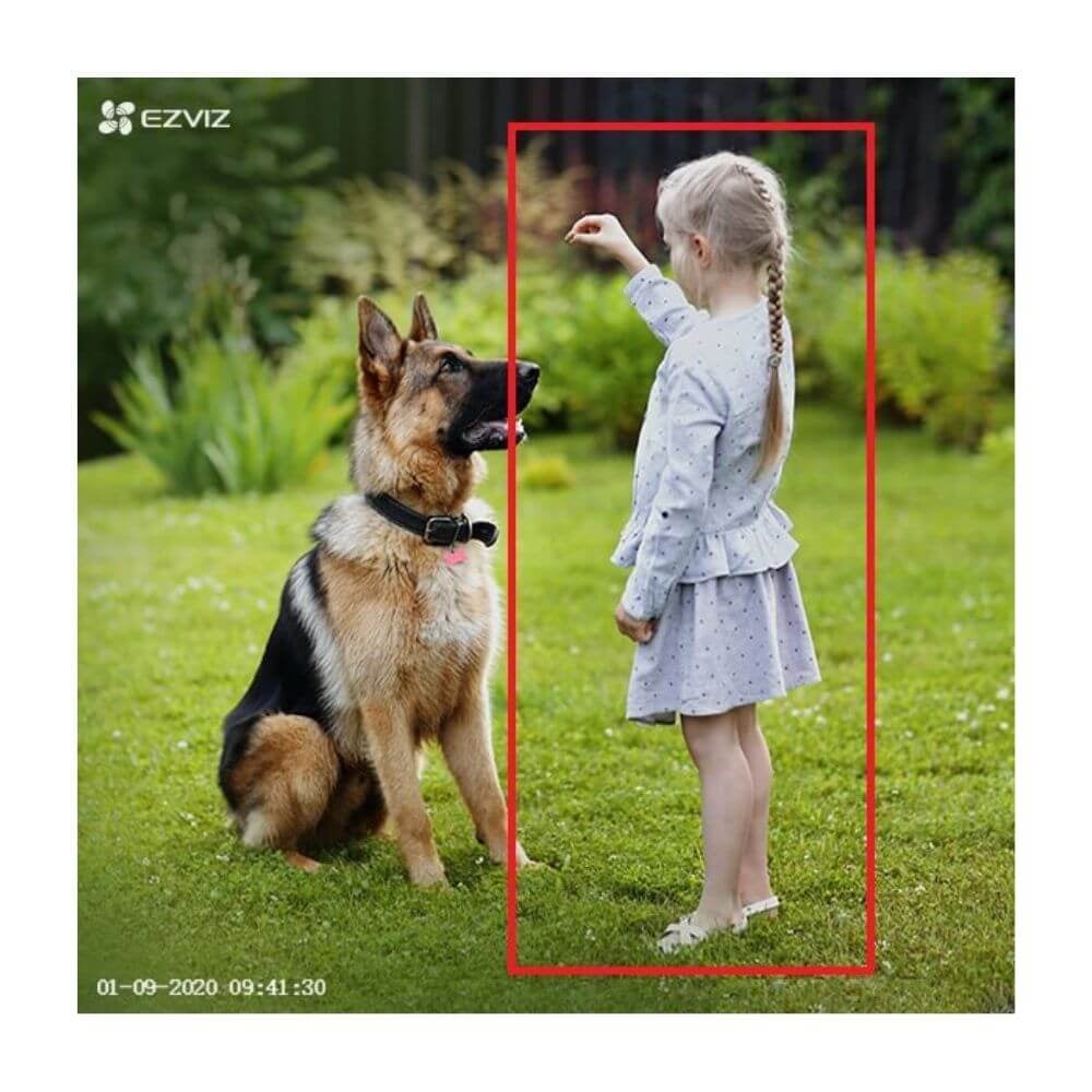 detection camera ezviz elife