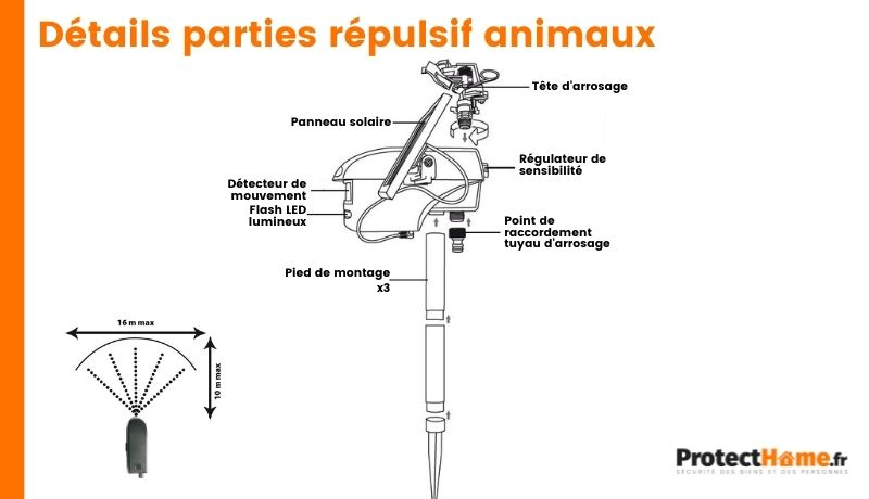 Details-repulsif-chat-et-chien