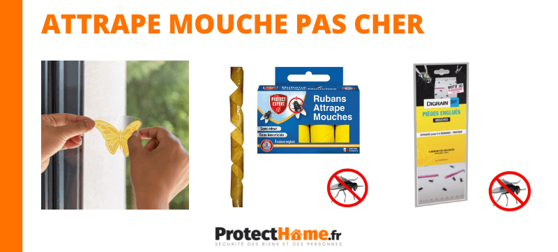 Piège stickers à mouches sans insecticide - Protect Expert