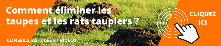 eliminer les taupes et rats taupiers