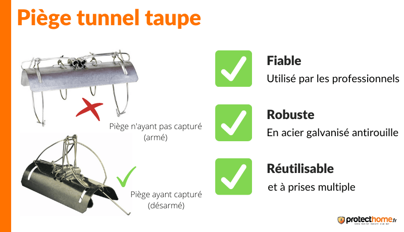 Piege a taupe tunnel professionnel 