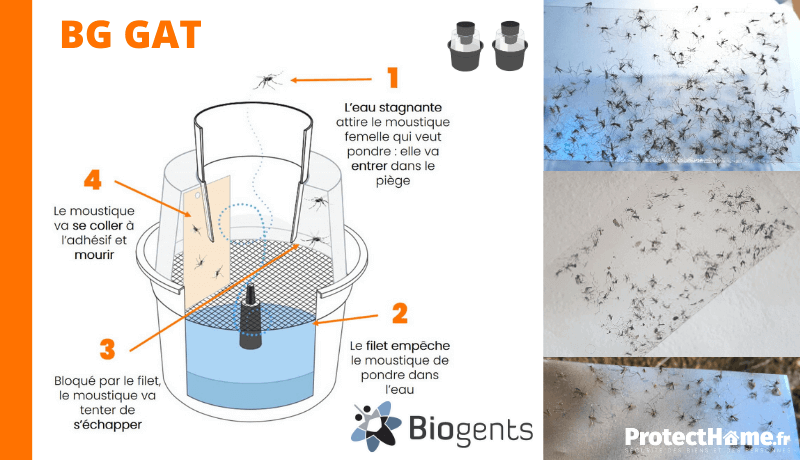 piège anti moustique et larve de moustique Biogents