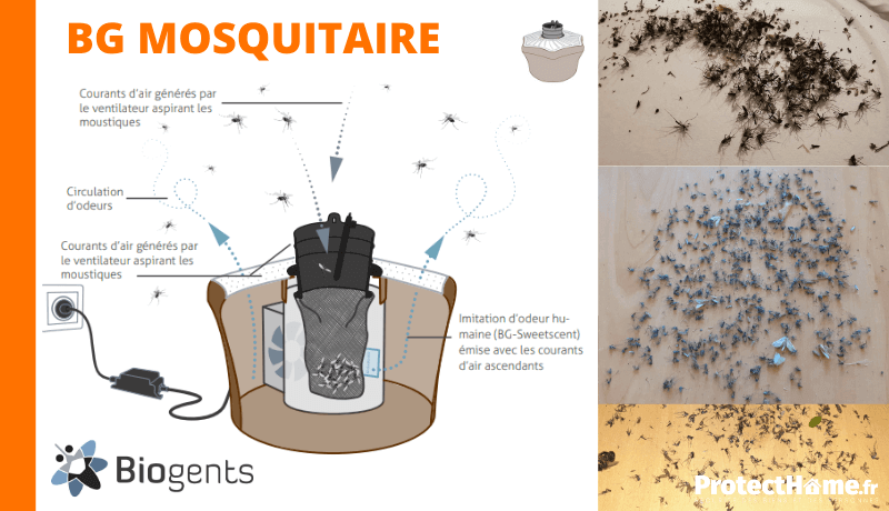 piege anti moustique exterieur biogents mosquitaire