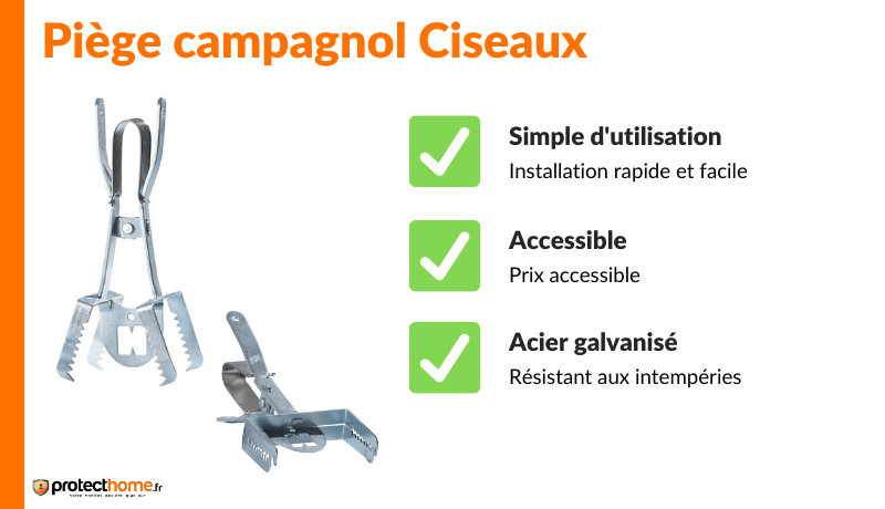 piege-campagnol-ciseaux-conseils