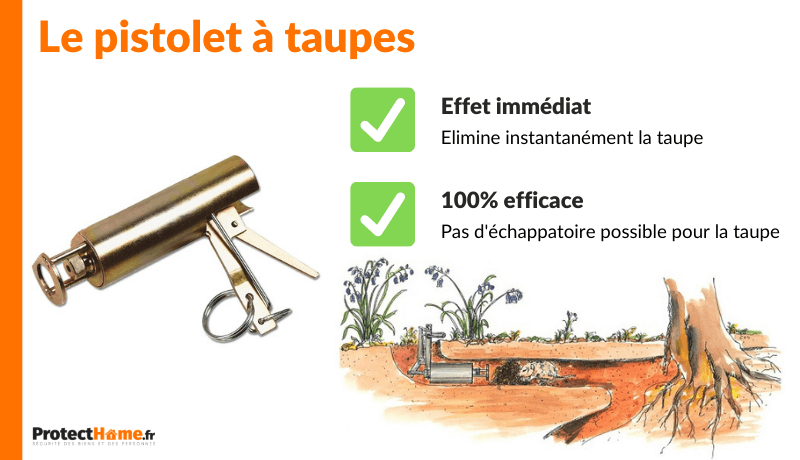 pistolet à taupes