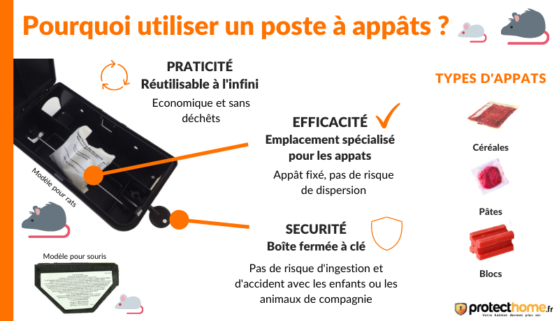 Pourquoi utiliser un poste à appâts souris ?