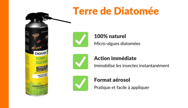 Terre De Diatomée Punaise De Lit Castorama