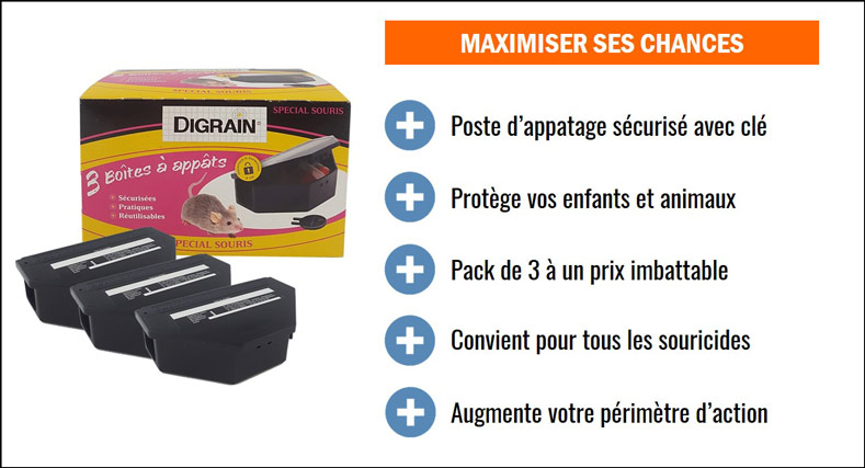 Boite appat anti souris Digrain