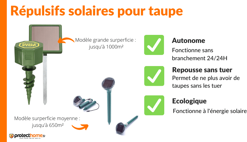 Répulsif taupe solaire écologique