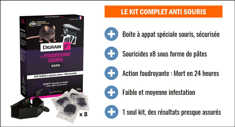 desourisation kit complet