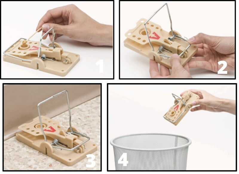 Tapette à rat - Eliminer les rats efficacement