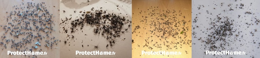 test piege a moustique exterieur biogents