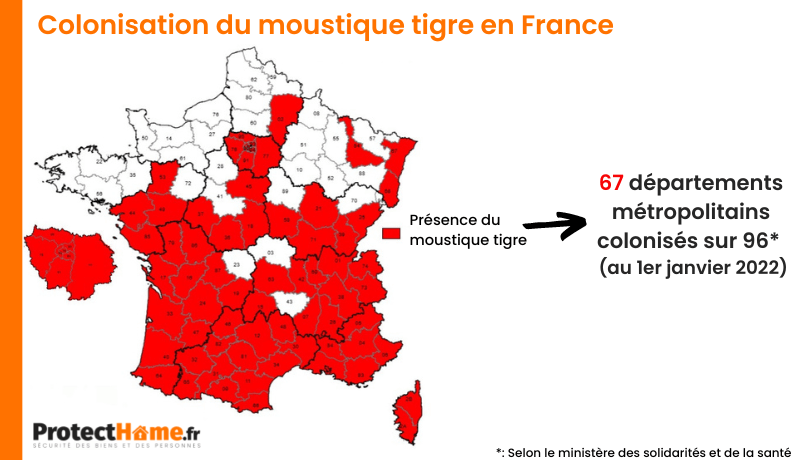 colonisation moustique tigre France